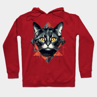 Geometric Cat Funny Abstract Cat Hoodie